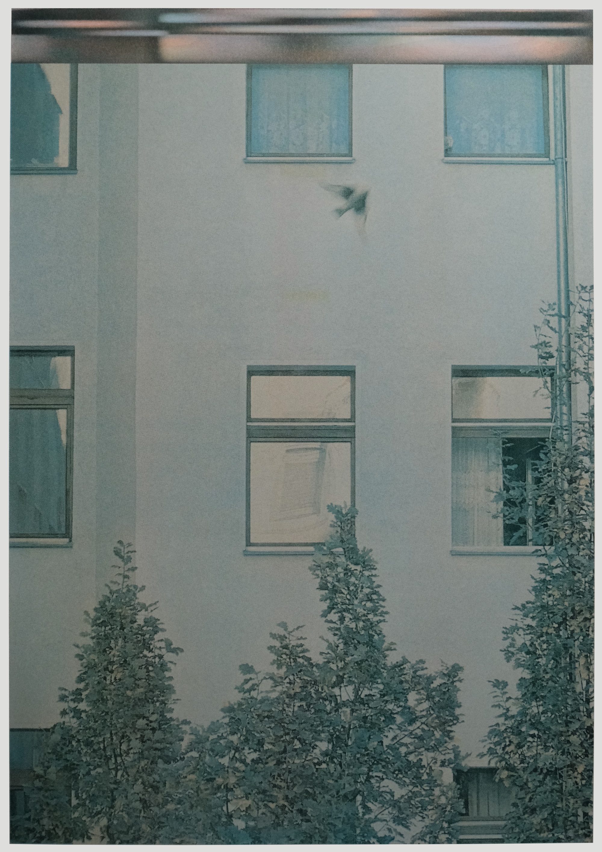 실의 머리 — 걷기, 베를린 